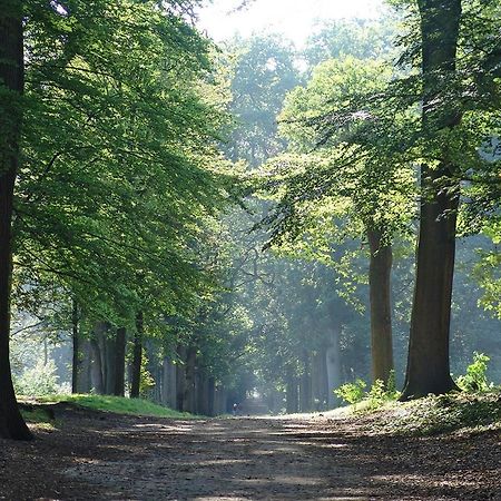 Luxe Safaritent Medley 5 Persoons Op Camping Rijsterbos Exterior foto